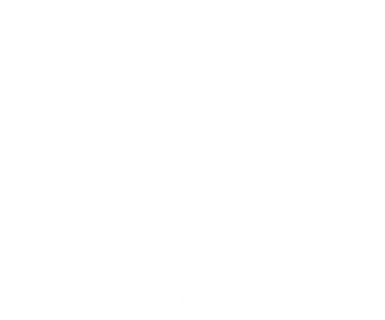International Chess Federation (FIDE)